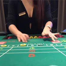 Sports Betting foxy